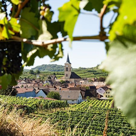 Braviscasa - Ferienresidenz Haus Am Bach Vogtsburg Am Kaiserstuhl エクステリア 写真