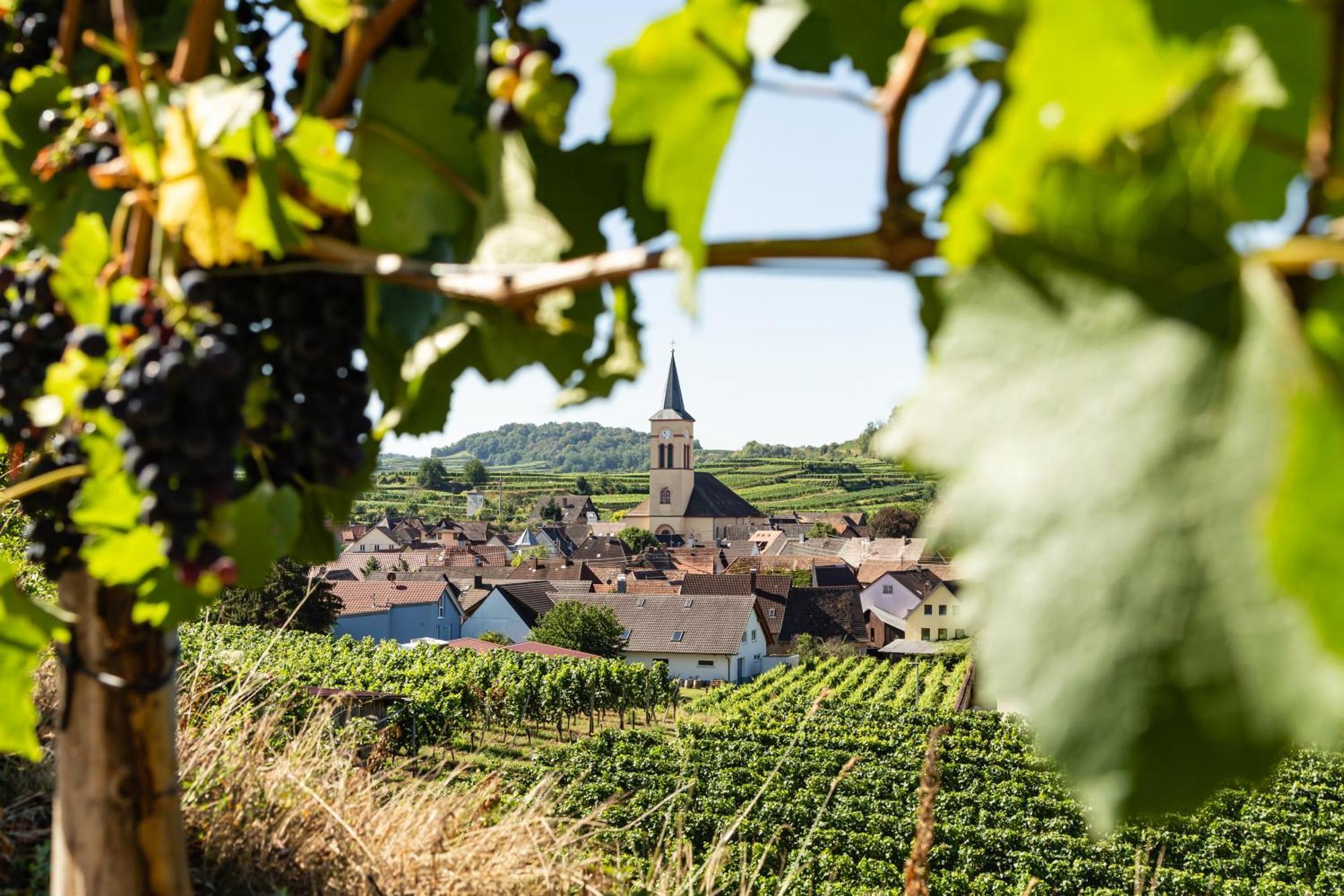 Braviscasa - Ferienresidenz Haus Am Bach Vogtsburg Am Kaiserstuhl エクステリア 写真